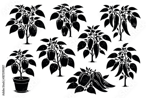 Hand drawn silhouette pepper plants set featuring bell peppers and chili peppers for gardening and culinary designs