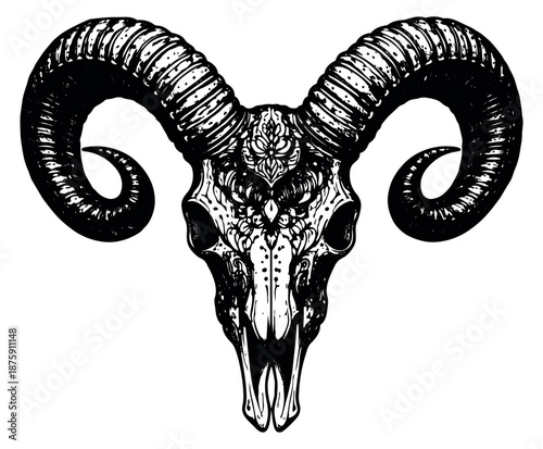 Hand drawn line art illustration of a ram skull depicting intricate gothic patterns for dark art and mystic themes