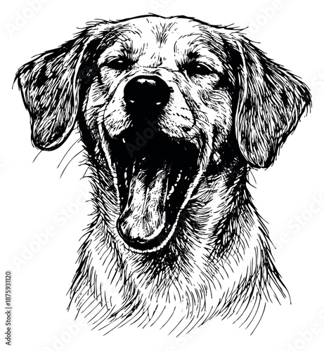 Hand drawn line art illustration of a golden retriever depicting a wide yawn for animal themed designs