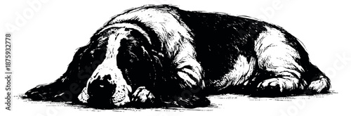 Hand drawn illustration of a dog depicting a sleeping pose for pet lovers and animal themes