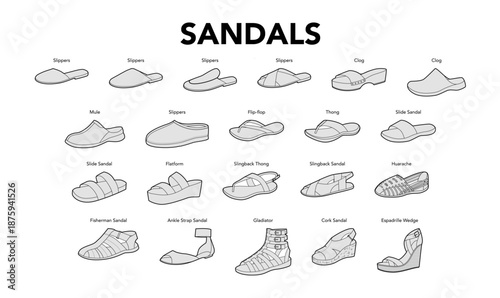 Sandal line single set with title. Slide slipper espadrille wedge, cork flatform, fisherman gladiator, slingback thong, ankle strap flip flop. Clean outline footwear guide vector, labeled style chart.