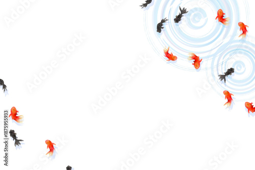 Top view of goldfish swimming with water ripples, minimal Japanese style illustration