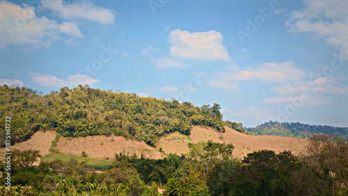 Vászonkép Landscape of mountain at Phu Chi Fa in Chiangrai province, Thailand