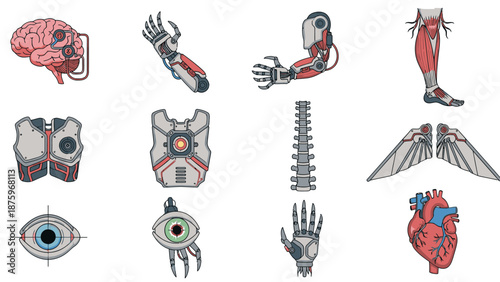 Illustration of human body parts including robotic and mechanical elements in a detailed anatomical study