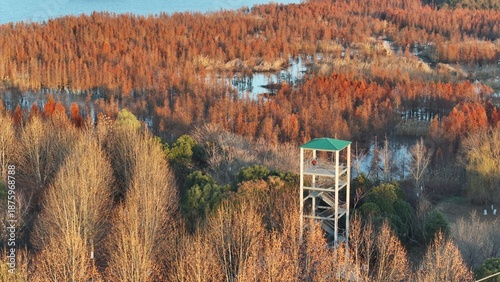 Wuxi Nanhu Wetland Park Aquatic Forest & Redwood Scenic Viewpoint