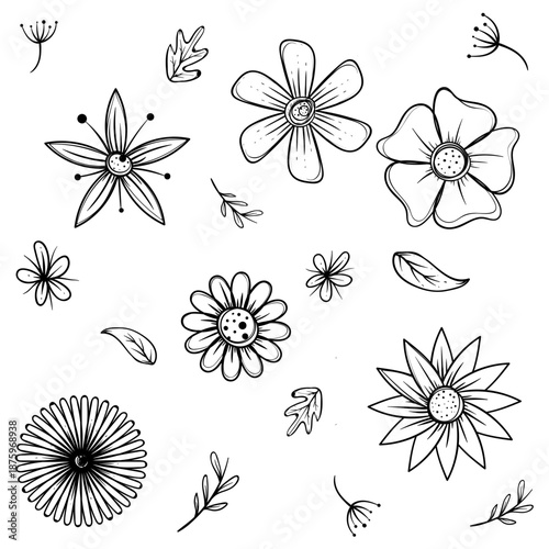 Desenho a mão de flores e folhas