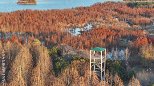 Wuxi Nanhu Wetland Park Aquatic Forest & Redwood Scenic Viewpoint