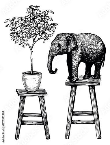 Hand drawn line art illustration of an elephant and a potted plant standing on wooden stools for various design projects
