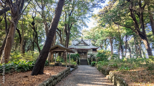静岡県沼津市　木漏れ日が差し込む諸口神社の境内と参道