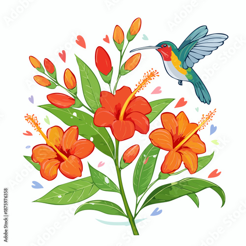 Hummingbird hovering near orange hibiscus flowers