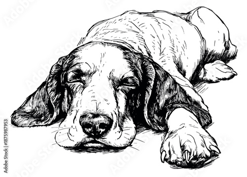 Hand drawn line art illustration of a dog depicting sleeping for pet concepts