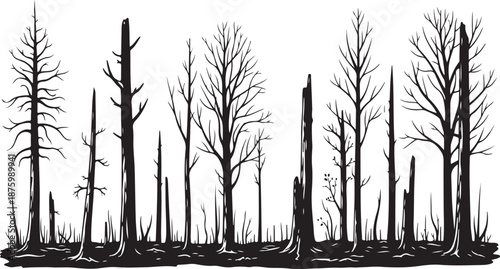 Barren landscape with dead trees in black and white