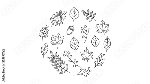 Beautiful circular composition of hand drawn autumn elements like leaves, berries, and acorns in black ink on white.