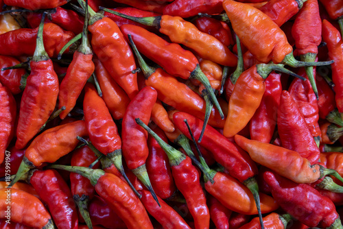Heap of fresh red chili peppers with rich texture
