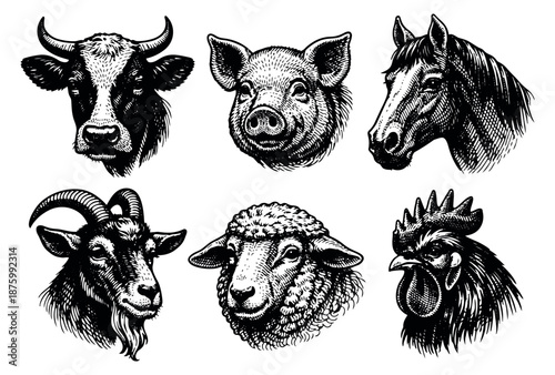 Hand drawn line art farm animal heads set featuring a cow, pig, horse, goat, sheep, and rooster for agriculture and food design