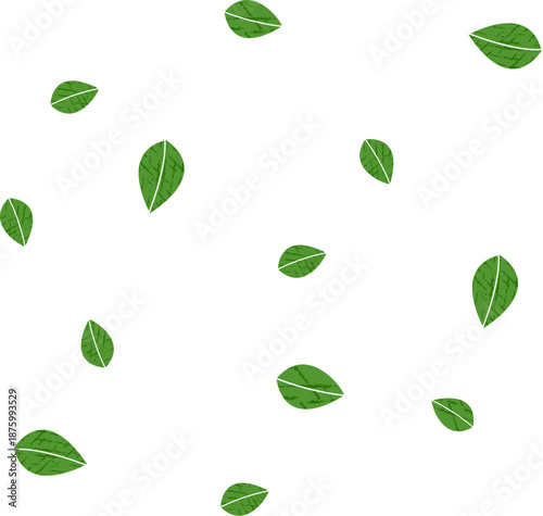 Vector Illustration of Scattered Green Basil Leaves Pattern Isolated on a Light Background