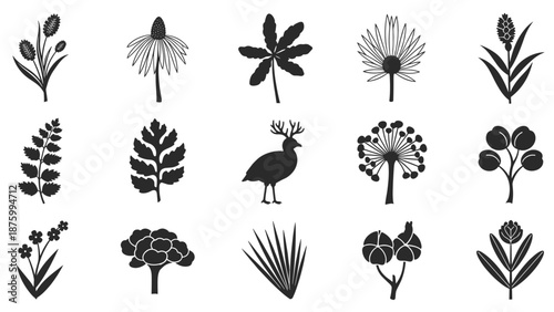 A set of black and white botanical illustrations featuring various plants and a bird in a minimalist style