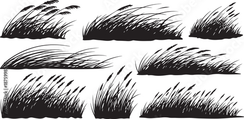 Black and white grass illustration set with various textures