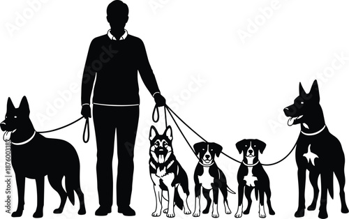 Black silhouette of a professional dog walker with multiple breeds on leashes isolated on white background for pet service design