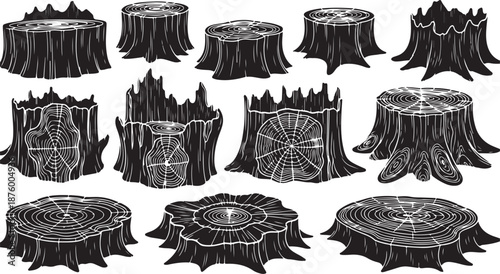 Tree Stumps in Various Stages of Decay and Design