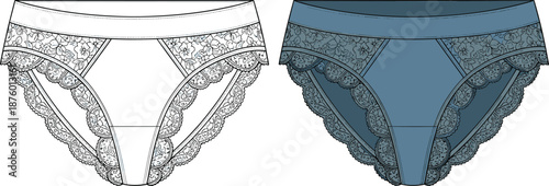 cad drawing flat vector illustration, lace underwear sketch, lingerie template, fashion technical design, floral lace view, panty blueprint