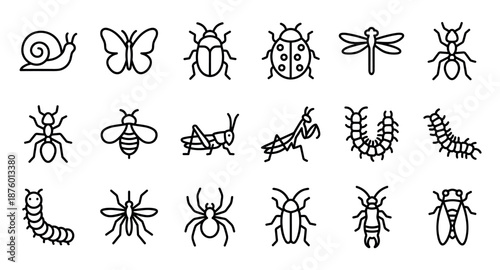 Set of black outline insect and bug icons in a simple minimalist line art style, featuring various creatures like a snail, butterfly, ant, spider, bee, and caterpillar pictograms