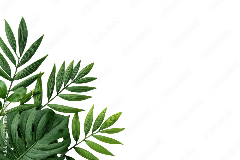 Fototapeta premium Green tropical leaves corner arrangement on black background plant nature