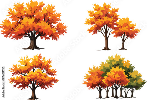Autumn tree illustrations with vibrant foliage in orange, yellow, and red shades, showing seasonal forest diversity and leaf color change.
