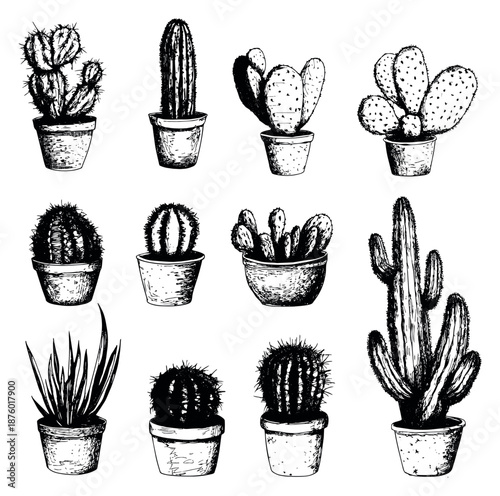 Hand drawn line art cactus and succulent set featuring various potted desert plants for botanical design projects