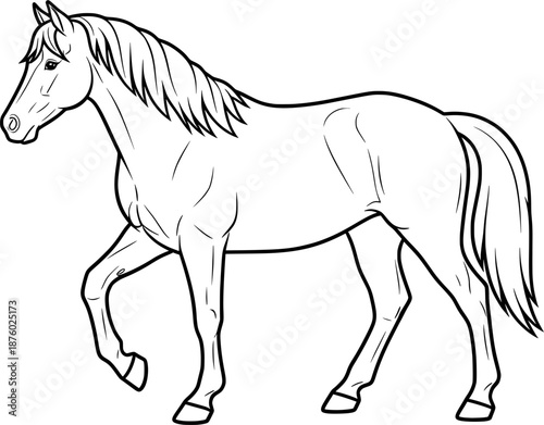 Outline vector drawing of a horse for coloring book with black line art