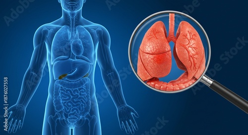 Anatomical illustration showcases the human body's internal structure, focusing on the respiratory system.