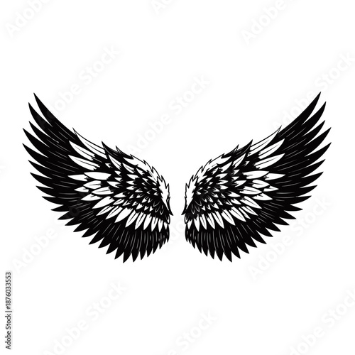 A striking black and white illustration of a pair of large, feathered angel wings spread wide.