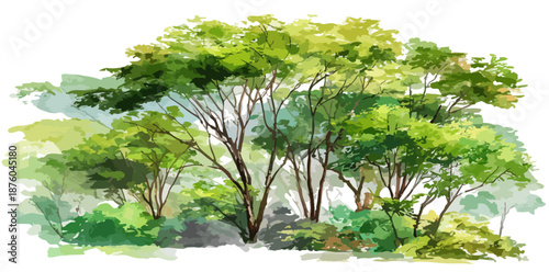 Aquarell-Illustration von grünen Bäumen und Büschen mit transparentem Hintergrund, ideal für Designelemente.