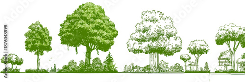 様々な種類の木々が描かれたベクターイラスト。緑豊かな自然の風景。