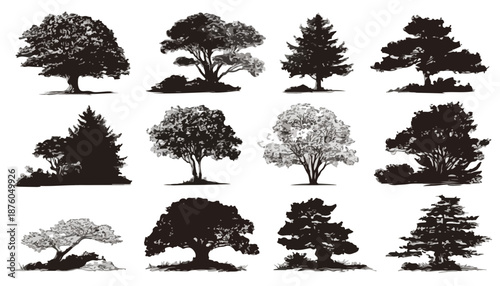 様々な種類の木々をシルエットで表現したベクターイラスト集。自然、植物、デザイン素材として。