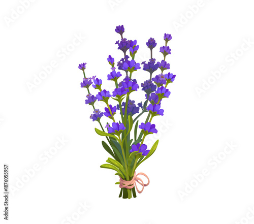 Tied flowers bouquet vector lavender sprigs with green stems and violet blossoms isolated on white. Lavenders bouquet tied securely with pink ribbon bow. Cartoon vector flowers for greeting card