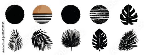 추상적인 식물 잎과 원형 패턴의 현대적인 디자인 요소 컬렉션, 투명한 배경