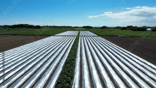 Aerial View of Agricultural Fields Covered with Plastic Mulch on a Sunny Day