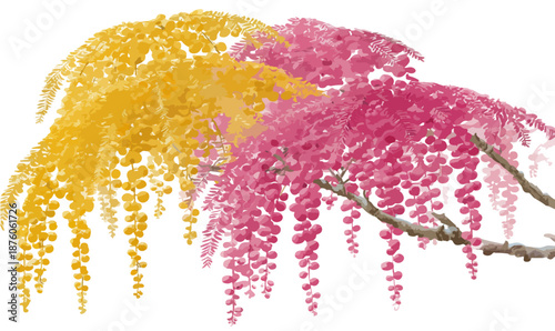 하늘하늘한 노란색과 분홍색 꽃송이가 흰색 배경에 드리워진 아름다운 봄날의 풍경