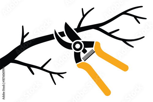 Gardening Pruning Shears Cutting Tree Branch, garden maintenance concept