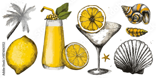 여름 휴가 테마 일러스트: 레몬, 음료, 조개껍데기, 야자수 잎, 투명한 배경