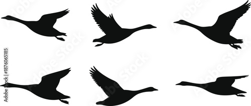 Set of Minimalist black goose flying silhouette vector icon