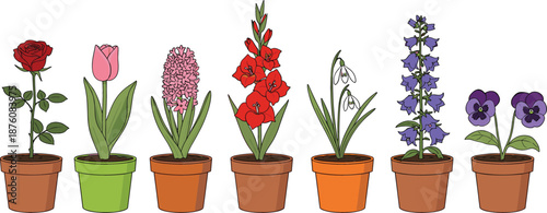 Flat vector set of colorful potted garden flowers including rose tulip hyacinth gladiolus snowdrop bluebell and pansy plants