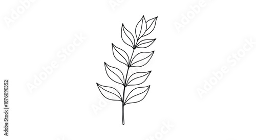 Minimalist black and white line drawing of a leafy branch with delicate leaves arranged along a central stem representing natural beauty and botany.