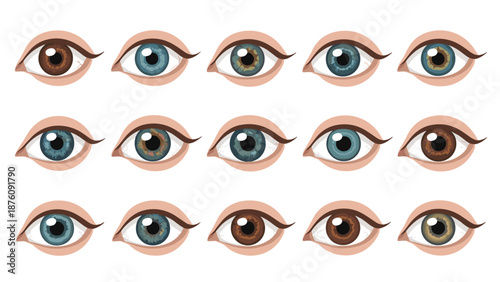 Detailed collection of fifteen human eye close-ups showing a diverse range of iris colors and realistic pupil textures.