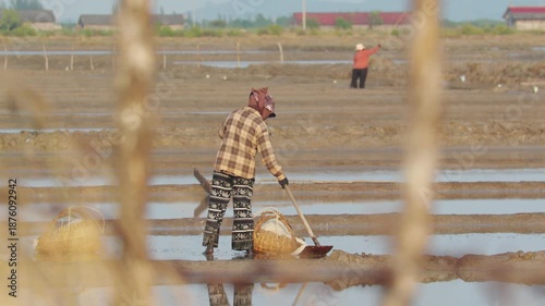 Women farmers gathering salt piles in traditional fields, Cambodia