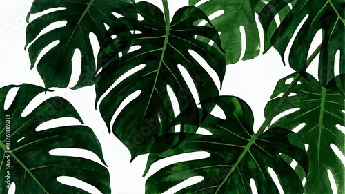 Large green leaves with natural patterns