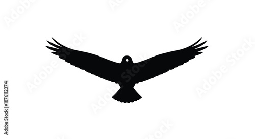 a black silhouette of a bird in flight with wings spread wide