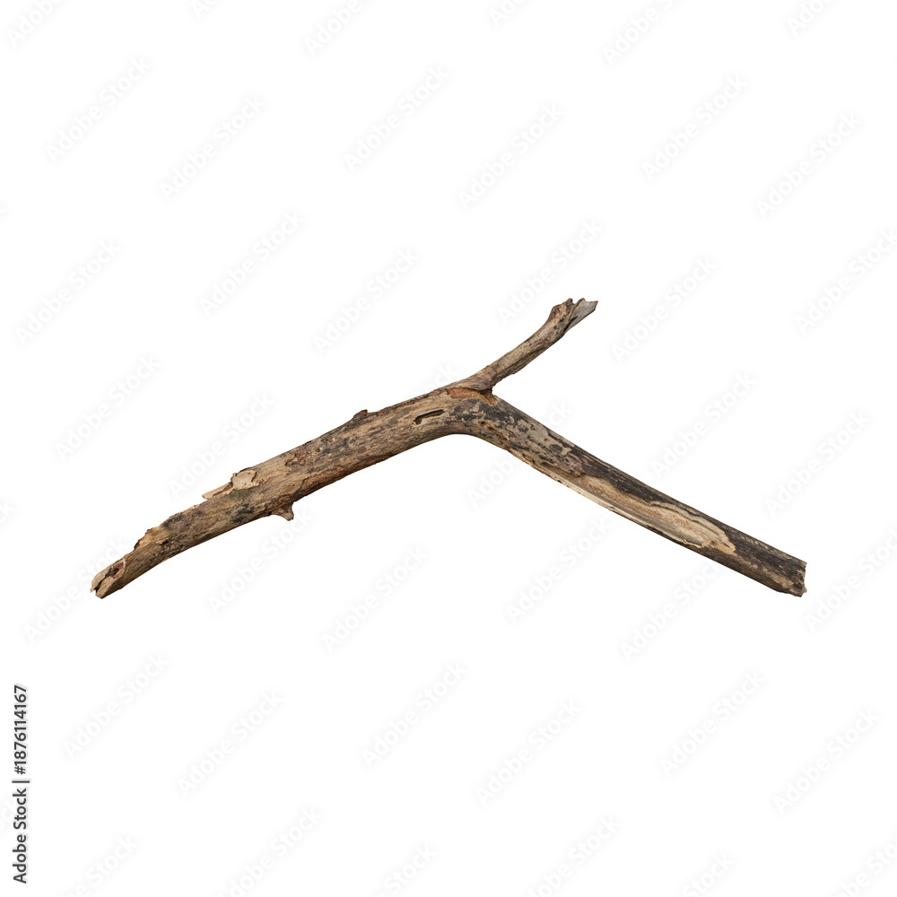 Obraz premium Weathered driftwood branch on black background