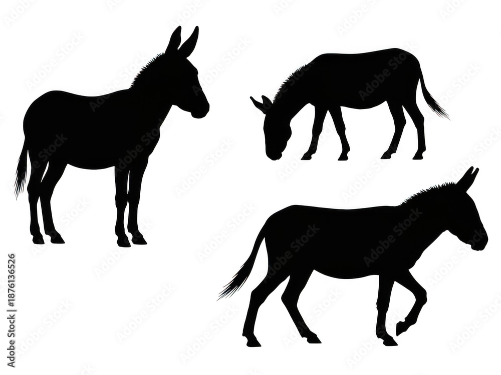 Fototapeta premium Silhouettes of donkeys isolated on transparent background